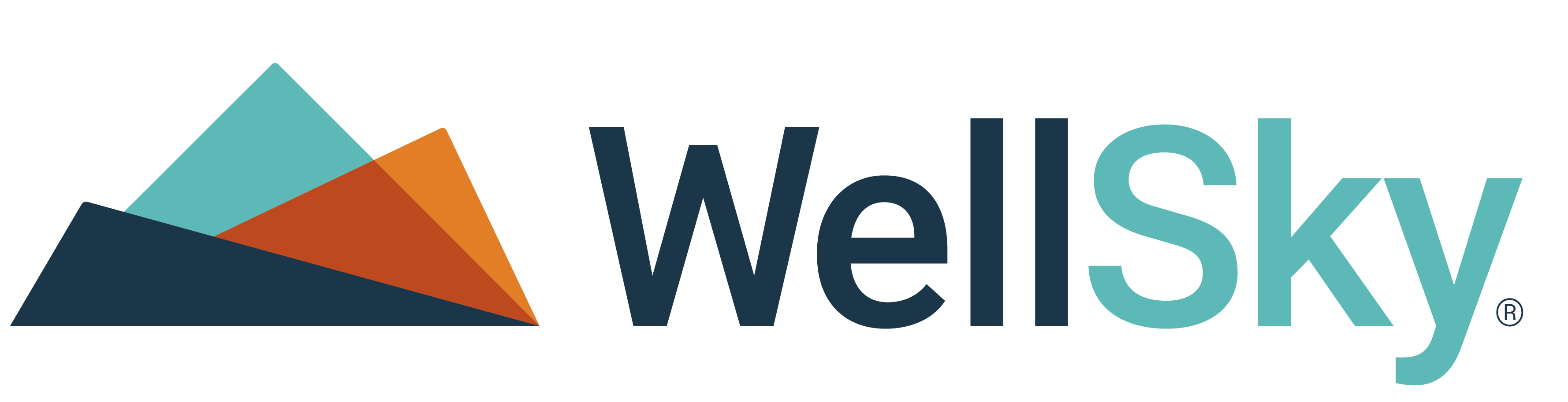 WellSky logo